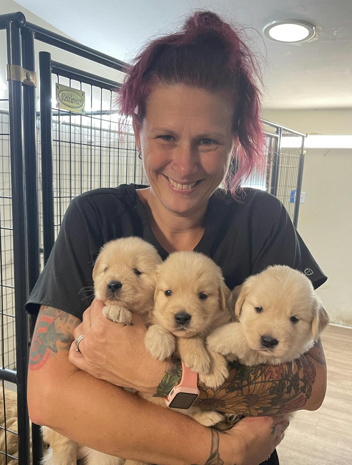 Staff Member Stephanie and three Golden Retriever puppies